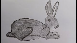 how to draw rabbit drawing from kids  | pencil art | kids art drawing