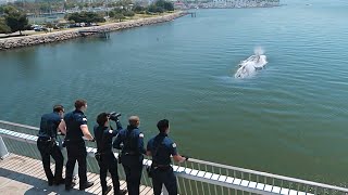 A Whale Swallowed A Billionaire On Live Video Call Unbelievable 911 Nashville