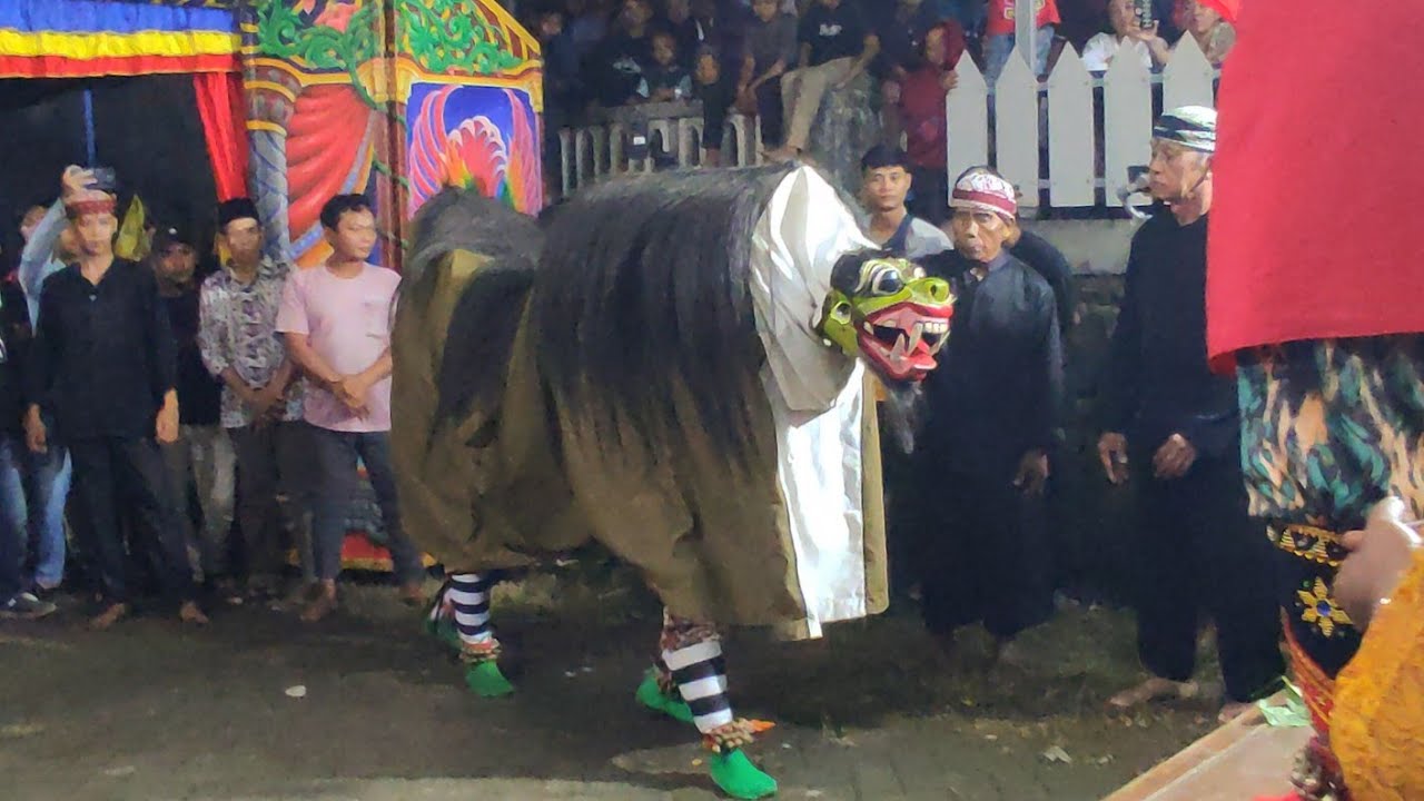 Ganas Cak Wahyu jaran kepang Macan Macanan Barong Tresno Budoyo Kemiren live delik lebak
