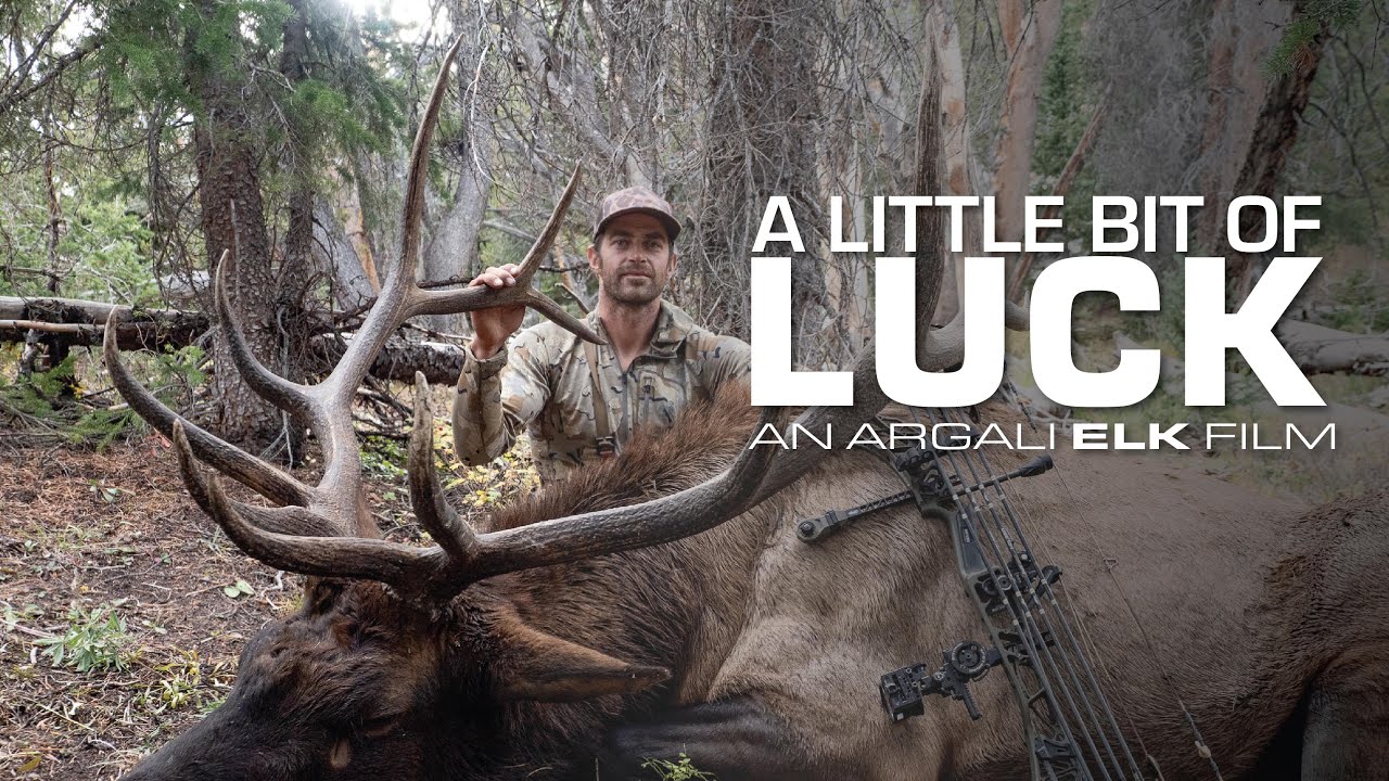 HUNTING MATURE BULLS WITH A BOW | AN ARGALI ARCHERY ELK FILM
