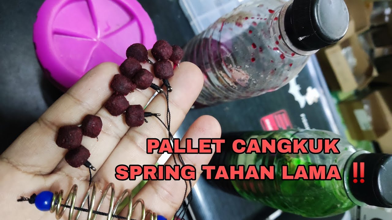 CARA BANCUH PALLET BIJI CANGKUK TAHAN LAMA #TUTORIAL ( MEMANCING DI SUNGAI PAHANG)