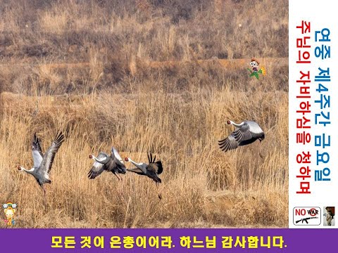 영상썸네일