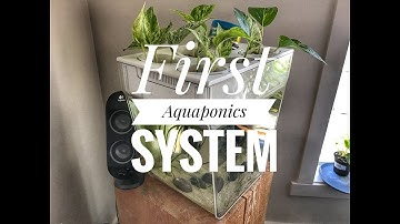First Aquaponics System