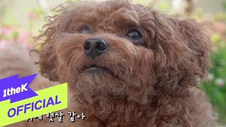[MV] SORAN(소란) _ DANG!(속삭여줘)(Feat. Mongja(몽자))