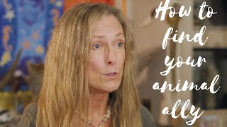 A Guide to Connecting with Your Animal Ally