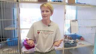Welcome to Animal Care Clinic