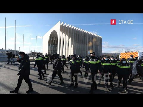 ნიკა მელიას დაკავება - საერთაშორისო გამოხმაურებები