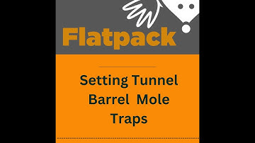 Setting Tunnel Mole Traps