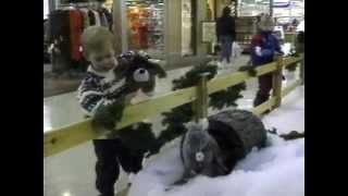 Pembroke Mall Commercial [1992]