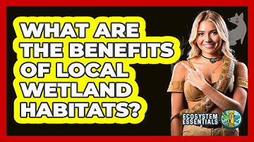 What Are The Benefits Of Local Wetland Habitats? - Ecosystem Essentials