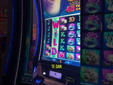 Descubre 2 Hand Casino Hold’em