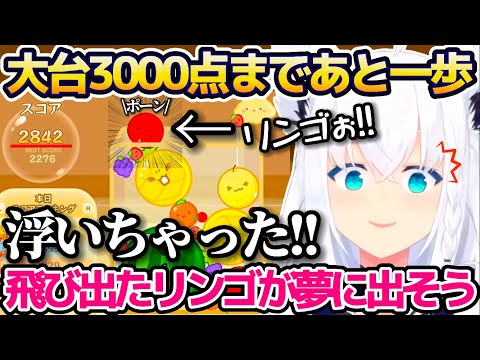 話題のスイカゲームで大台3000点まであと一歩というところで飛び出した"リンゴ"がトラウマになり、夢にまで出そうな勢いの白上フブキw【ホロライブ切り抜き】