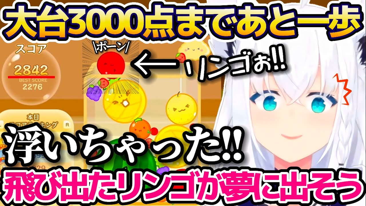 話題のスイカゲームで大台3000点まであと一歩というところで飛び出した"リンゴ"がトラウマになり、夢にまで出そうな勢いの白上フブキw【ホロライブ切り抜き】
