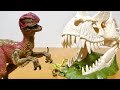 巨大恐竜の骸骨トラップが楽しい!シュライヒ 42348 ヴェロキラプトル コンプソグナトゥス