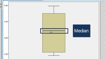 Boxplots in SPSS - How to Create and Interpret (Part 1 of 2)
