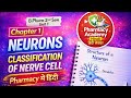 Neuron Kya Hai? Classification of Nerve Cell | B.Pharm 2nd Sem Chapter 1 Hindi | chapter 1