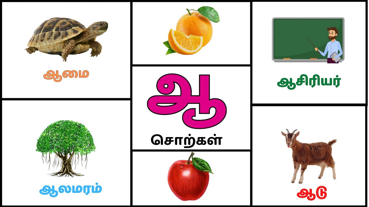 ஆ வரிசை சொற்கள் | உயிர் எழுத்துக்கள் | learn how to write tamil | tamil ...