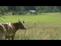 Селигер Эхо2016  https://youtu.be/UsQw9kR1iwY