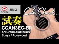 コールクラーク選びガイド】Cole Clark CCAN3EC-BR 試奏動画 特長