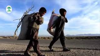 عمل الباحث  الاجتماعي