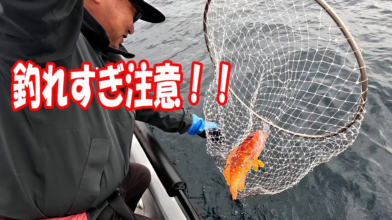 尾鷲の海が本気出した！根魚ラッシュで大興奮！！