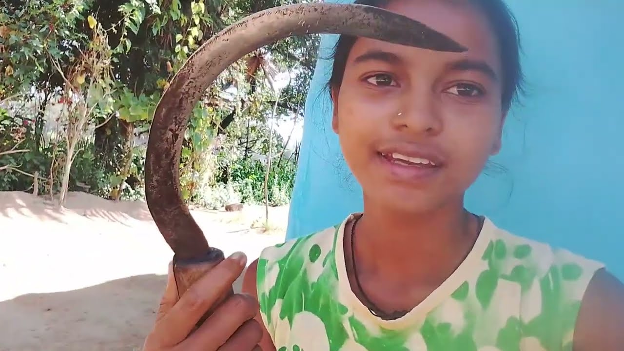 मेरे घर  के पास का खेत 🌾🌾🥰