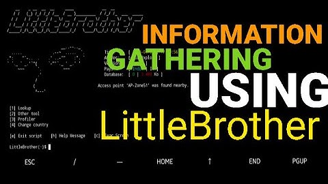 Information Gathering Using LittleBrother Termux