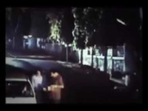 زندگی کی تلاش میں ہم