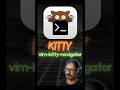 vim-kitty-navigator #linkarzu #linux #neovim