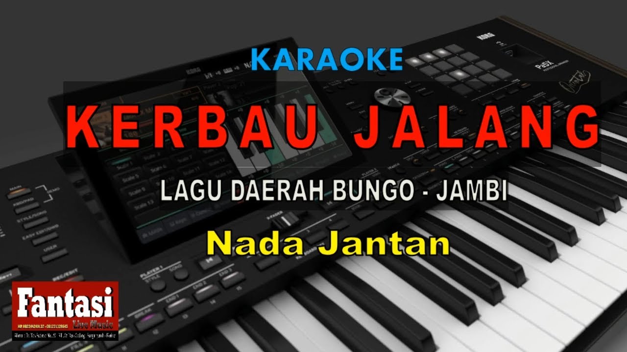 LAGU DAERAH JAMBI - KERBAU JALANG ( NADA PRIA ) - KARAOKE