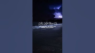 قران كريم القارئ ماهر #القران #لايك #اكسبلور