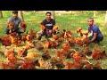 Golden Country Chicken Biryani For 300+ Village People - 65 KG Chicken & 50 KG Polao Rice Cooking