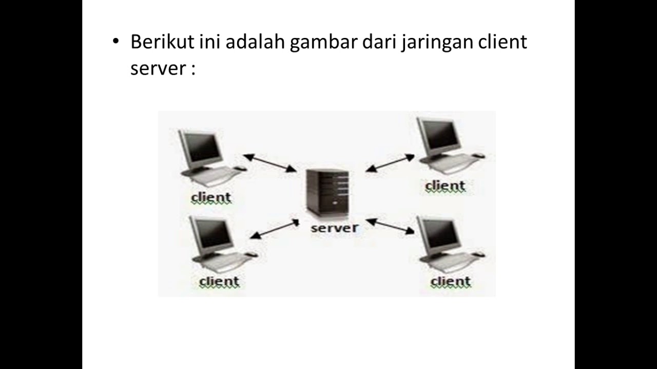 Jaringan Komputer Peer to Peer dan Client Server - YouTube