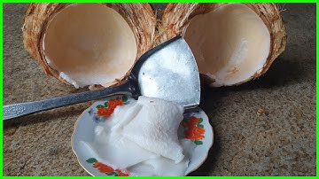 Cách Lấy Cùi Dừa Siêu Dễ Dàng Không Phải Ai Cũng Biết |Cách Lấy Cơm Dừa | Cách Bóc Dừa