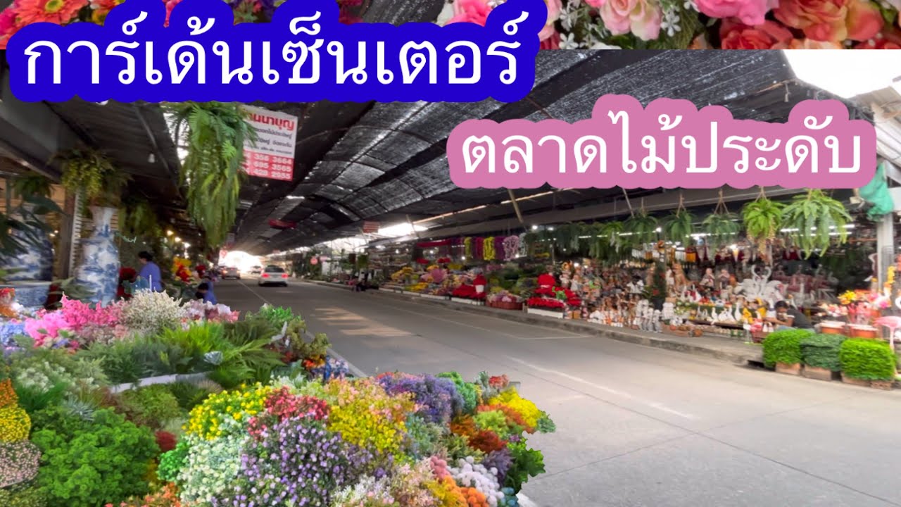 การ์เด้นเซ็นเตอร์ตลาดไม้ประดับ