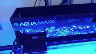 Full Clean - Aquamaxx HF-M
