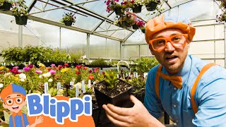 Blippi's Greenhouse Adventure | Blippi| 🔤 Moonbug Subtitles 🔤 | Learning Videos