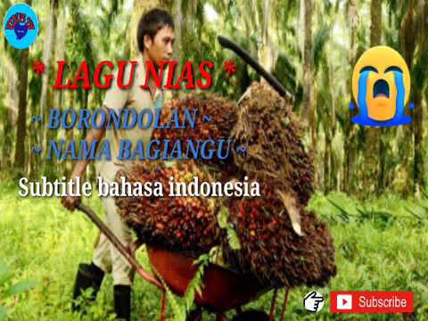 Lagu Nias anak perantau BORONDOLAN