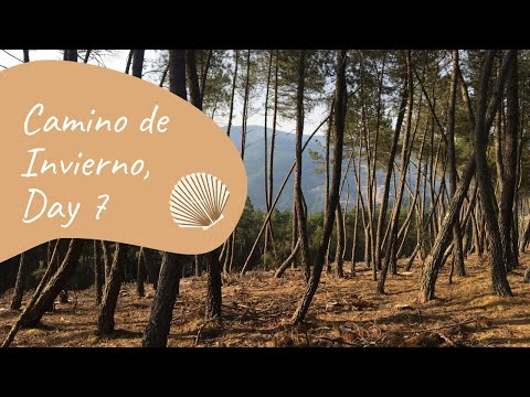 Day 7 of the Camino de Invierno (August 2021): San Clodio to Monforte de Lemos, 35km