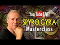 Spyro gyra morning dance solo jazz piano masterclass  spyrogyra