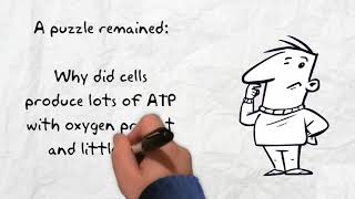 An Introduction to Enzyme Assays
