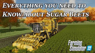 Everything you need to know about Sugar Beets in Farming Simulator 22