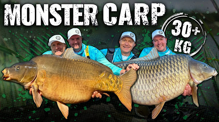 Döme Gábor - MONSTER CARP
