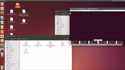 Ransomware project video