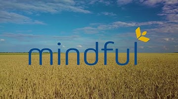 Mindful group 4 winter wheat - Agrovista Seeds