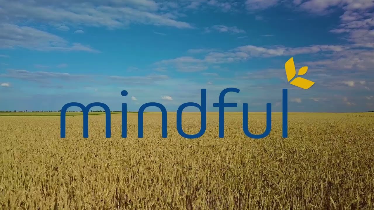 Mindful group 4 winter wheat - Agrovista Seeds