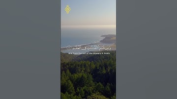سورة الفلق | تلاوة خاشعة بصوت الشيخ ياسر الدوسري