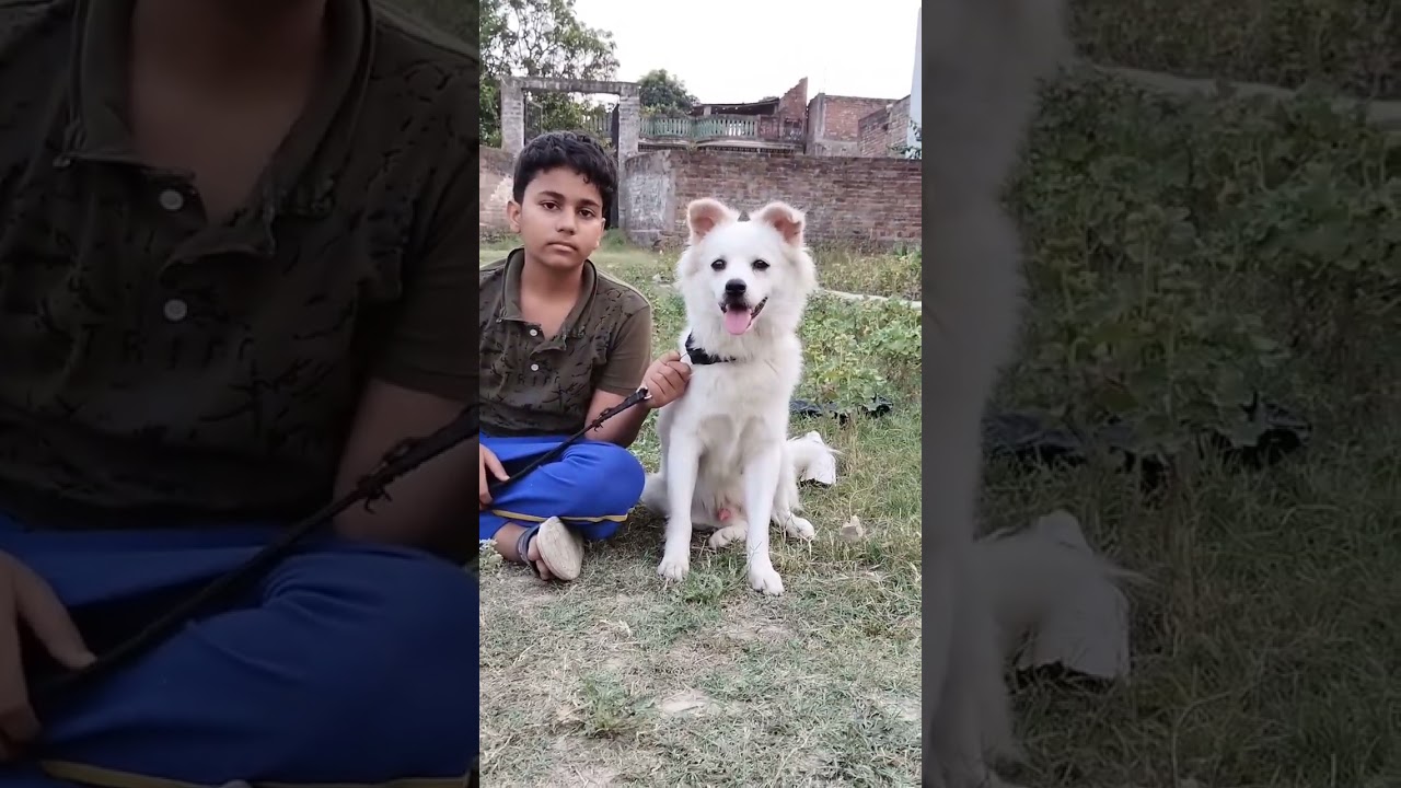 Capser😃😃😃😃😃