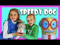 Speedy Doc: joc educativ de familie | Jucarii educationale in romana