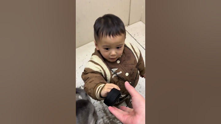 Thấy mẹ dắt bé cún nên con đã làm theo